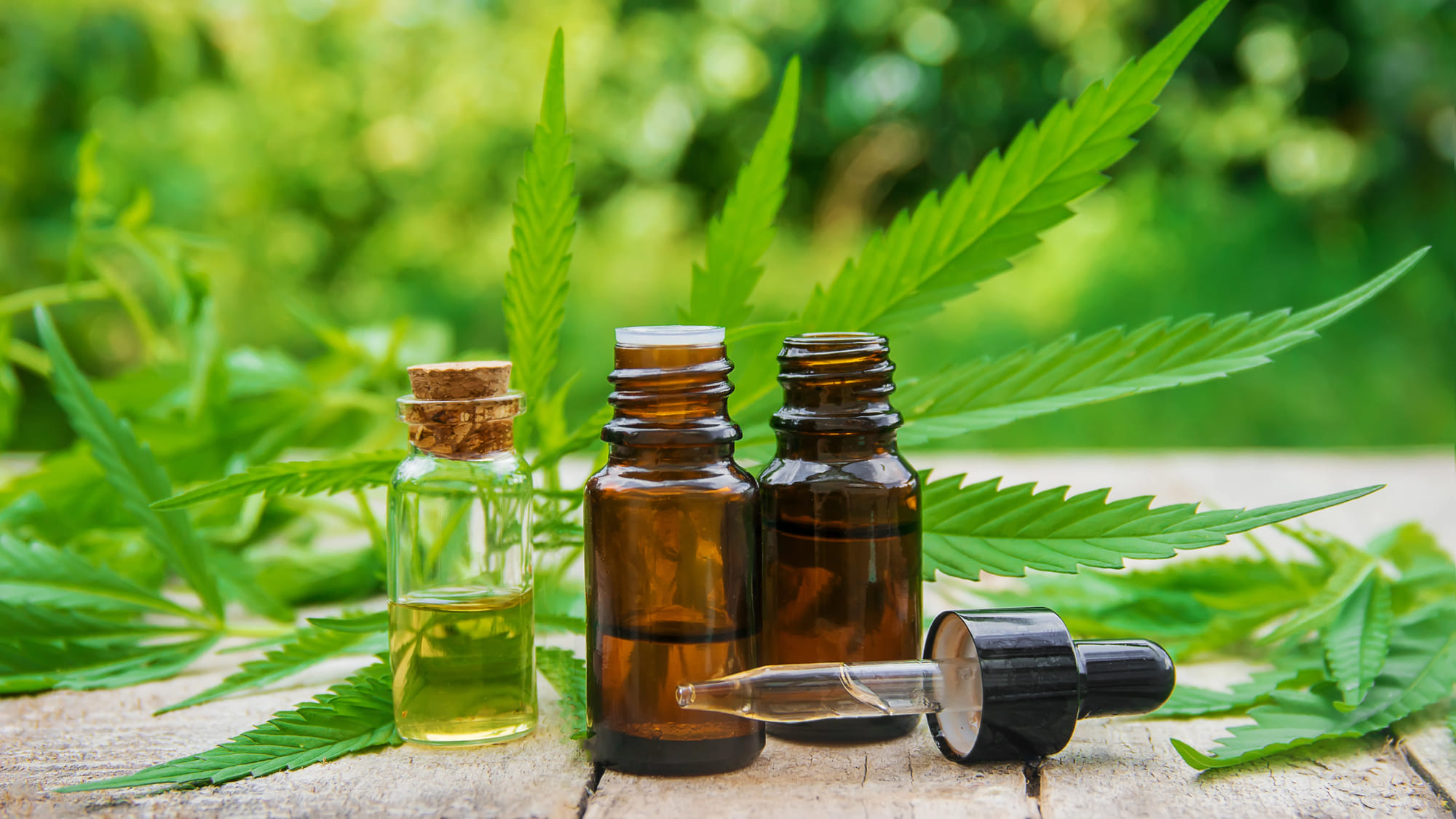Olejek CBD - różne olejki leżące przy liściu konopi