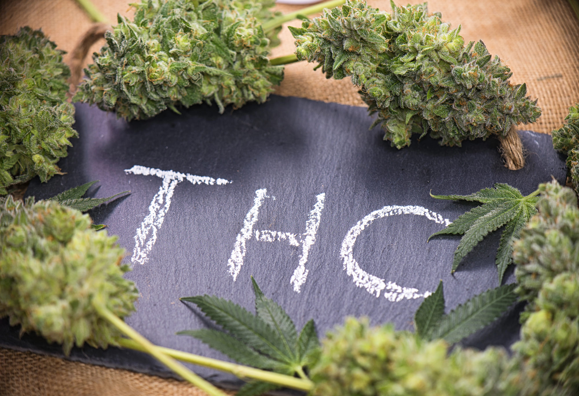 Olejek THC - tabliczka, na której leżą konopie